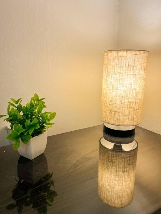 Cozy 1-Bedroom Rental In Miami Dış mekan fotoğraf